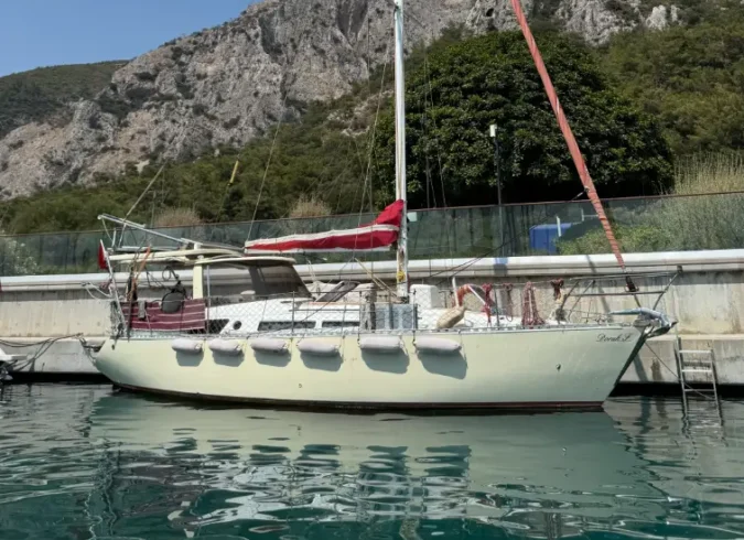 1987 Proteksan Turuva